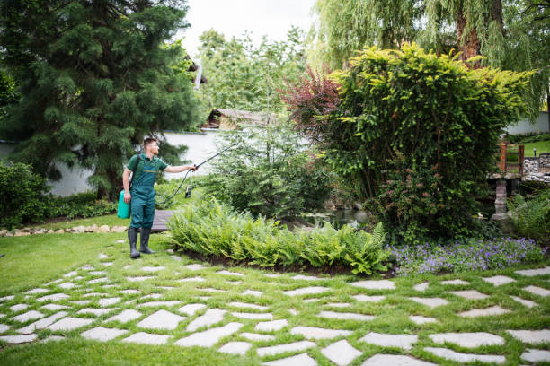 Lawn Grading and Leveling in Lacy Lakeview, TX